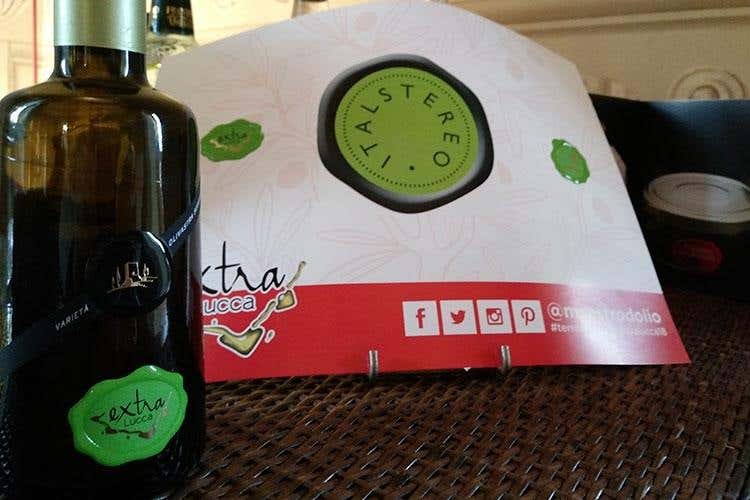 «Tutto buono, ma ti prego, cambia olio» Extralucca, fare rete per fare cultura