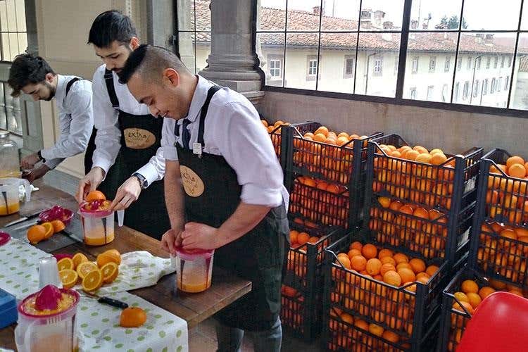 «Tutto buono, ma ti prego, cambia olio» Extralucca, fare rete per fare cultura
