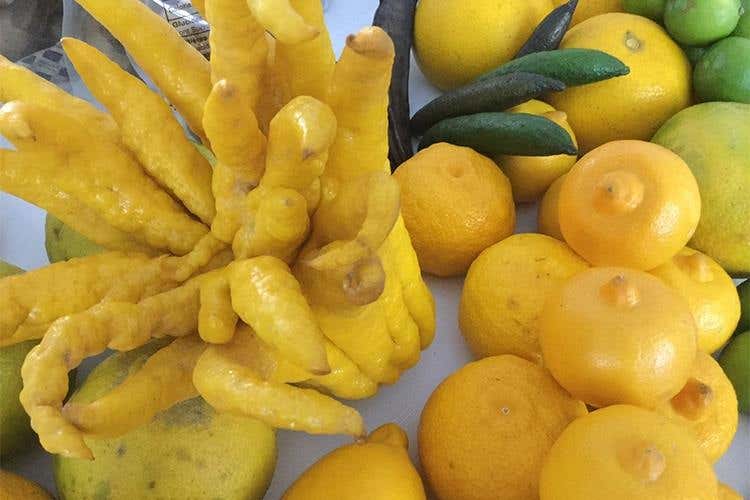 Un 2017 gourmet per Longino&Cardenal 
49 espositori ne raccontano la filosofia