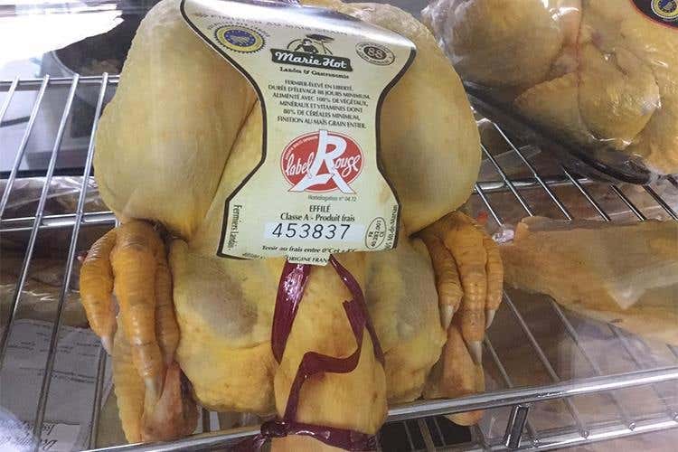 Un 2017 gourmet per Longino&Cardenal 
49 espositori ne raccontano la filosofia