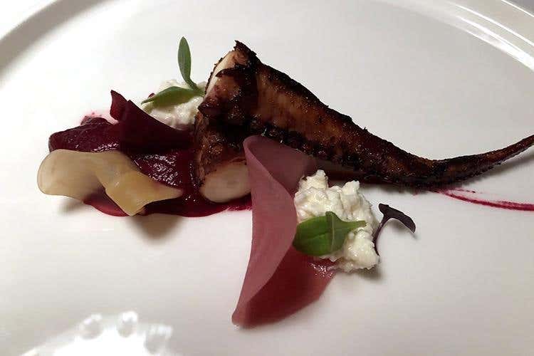 Polpo arrosto con crema di barbabietola rosa, rape croccanti acidule e burrata di Andria (Un anno di Suinsom 
Cucina gourmet altoatesina al Tyrol)