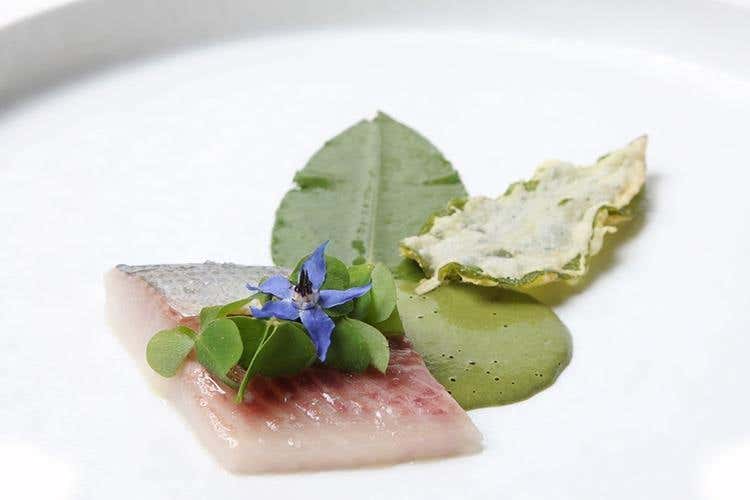 Coregone, Serpentaria, acetosella e levistico (Un seducente lago di Ginevra 
nei piatti “locali” di Décotterd)