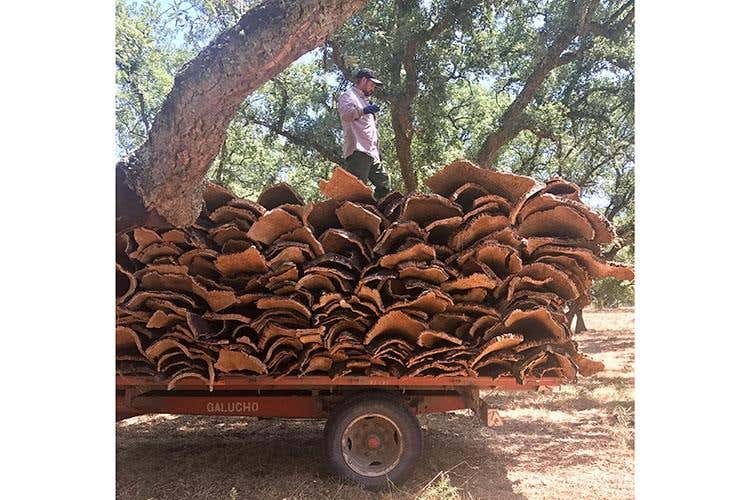 Un viaggio in Portogallo alla scoperta del tappo perfetto