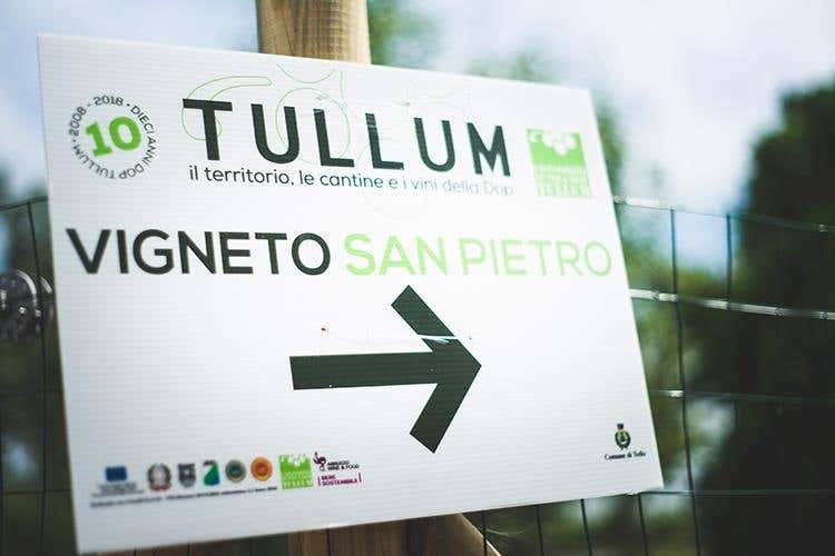 (Una festa nel borgo e un convegno 
per i 10 anni della Dop Tullum)