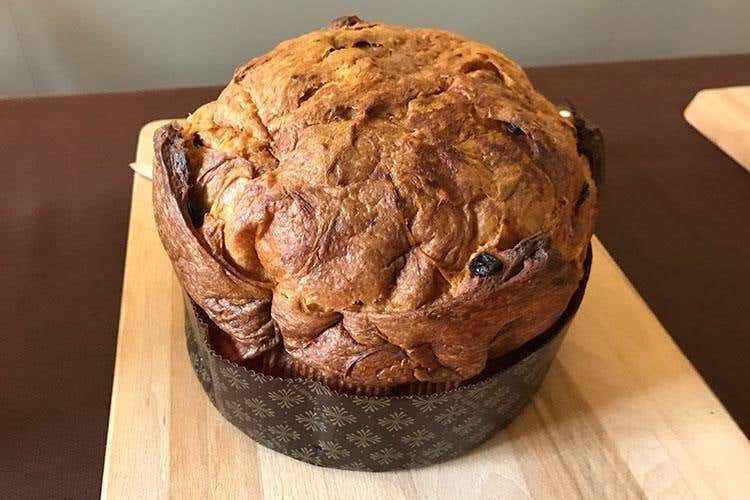 Panetùn Classico (Una torta speciale per ogni decennio 
Così la Martesana festeggia i 50 anni)