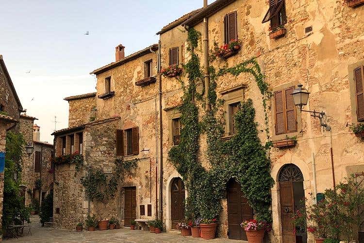 (Valeria Piccini, 40 anni da Caino 
La cucina toscana, quella autentica)