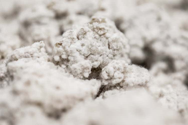 Il viaggio nel gusto del futuro della ricercatrice Blanca De Noval