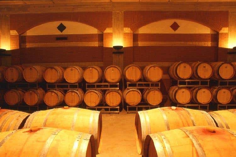 “Vigne di Roma”, 14 aziende insieme per valorizzare i vini del Lazio