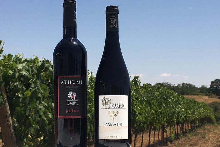 “Vigne di Roma”, 14 aziende insieme per valorizzare i vini del Lazio
