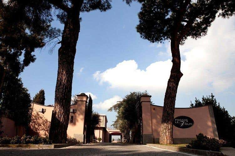 “Vigne di Roma”, 14 aziende insieme per valorizzare i vini del Lazio