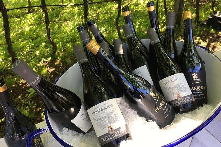 (Vini Alto Adige, 10 anni di Consorzio 
La sfida futura è mantenere la tipicità)