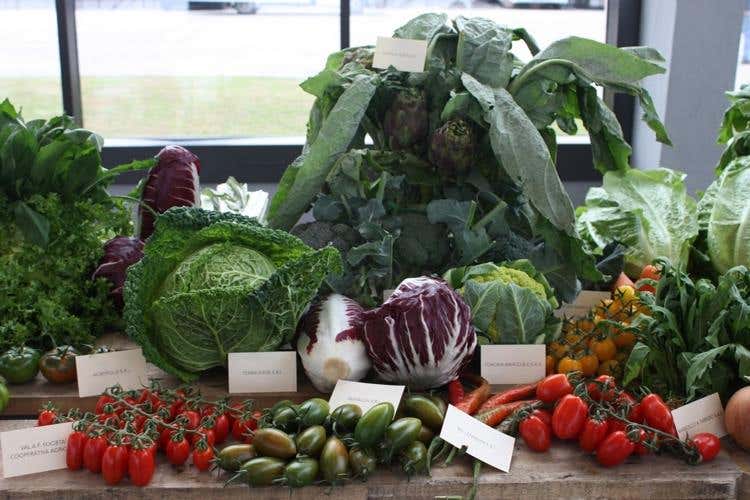 Vinicibando, il salone nomade del gusto Quest'anno si parla di cibo sostenibile