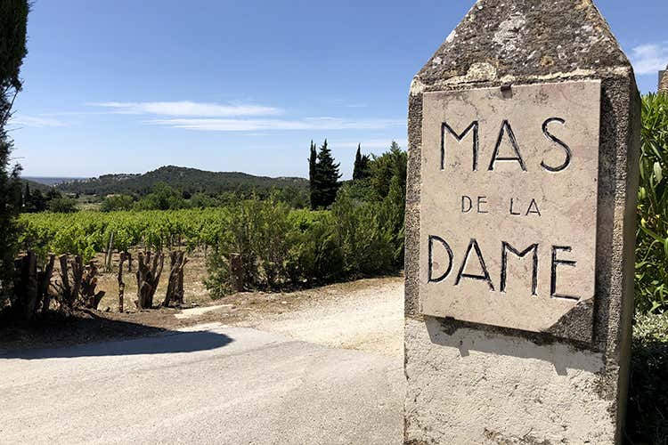 Mas de la dame (Vino e dolci, olio e cioccolato 
Le ricchezze di Provenza)