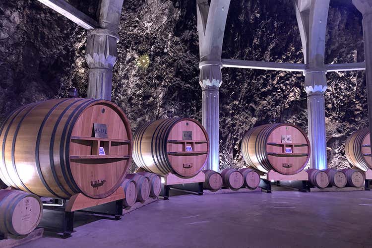 Chateau Romanin (Vino e dolci, olio e cioccolato 
Le ricchezze di Provenza)