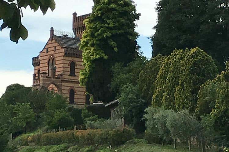 Viticoltura tra biodiversità e qualità Casa Paladin sceglie Life Vitisom