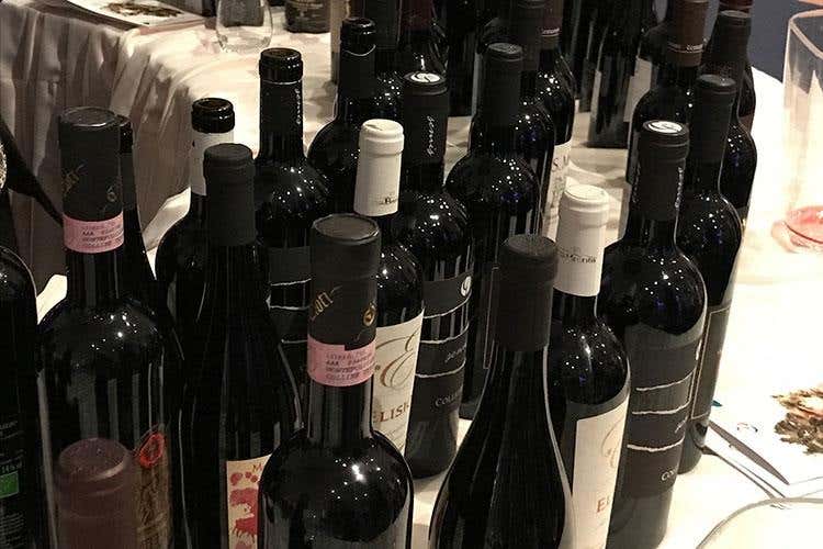 (“We are d’Abruzzo”, slogan celebrativo 
per i 50 anni della Doc Montepulciano)