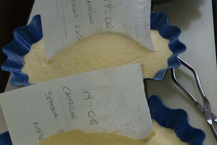 (We Love Pasta al Pastificio Divella 
Il progetto Aidepi fa tappa in Puglia)