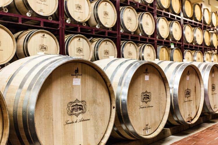 Wine Experience a Tenuta di Artimino Tutto il piacere della vendemmia