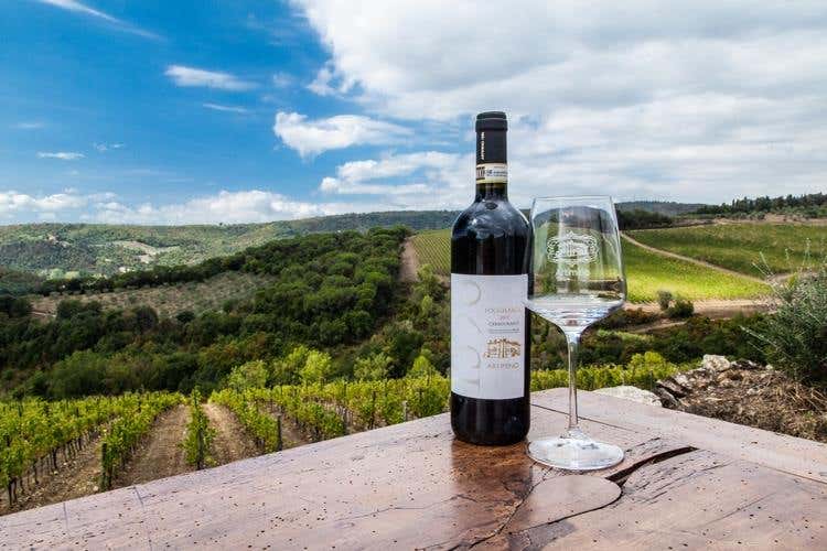 Wine Experience a Tenuta di Artimino Tutto il piacere della vendemmia