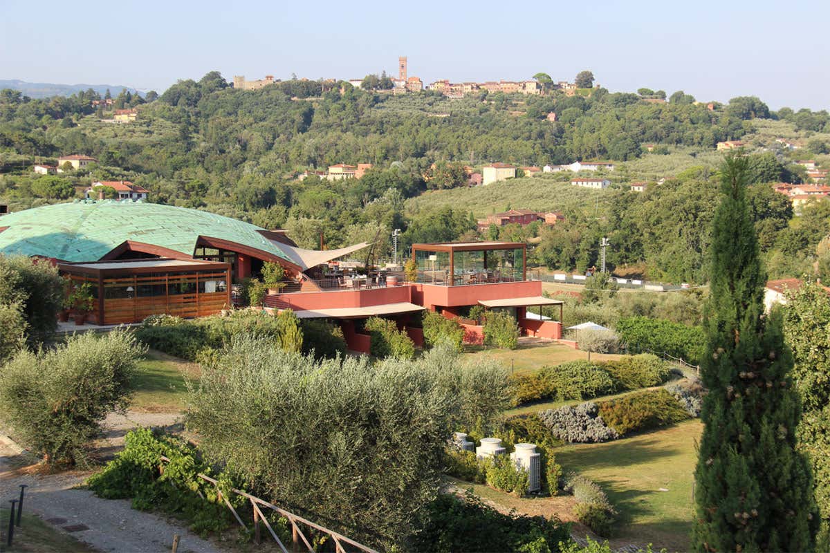 (Wine Resort sulle colline lucchesi 
alla scoperta della Dop Montecarlo)