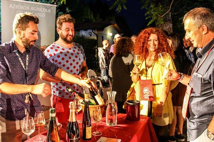 Winearound - Vini e Dintorni Oltre 500 etichette in Friuli Venezia Giulia
